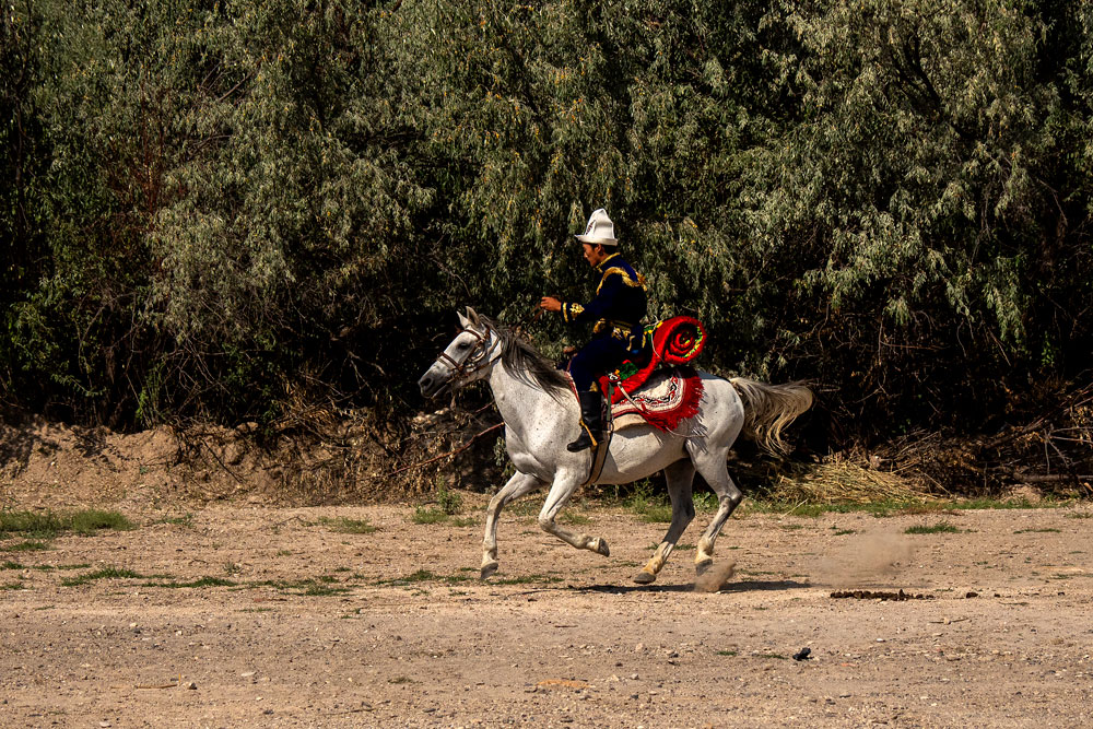 Olympus ile Kayseri