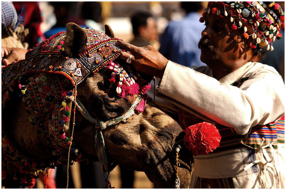 Pushkar Panayırında Hindistan