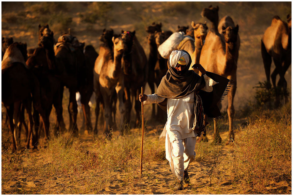 Pushkar Panayırında Hindistan